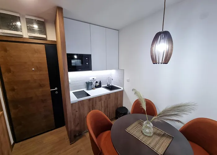 Borovi 2 Lux * Divčibare